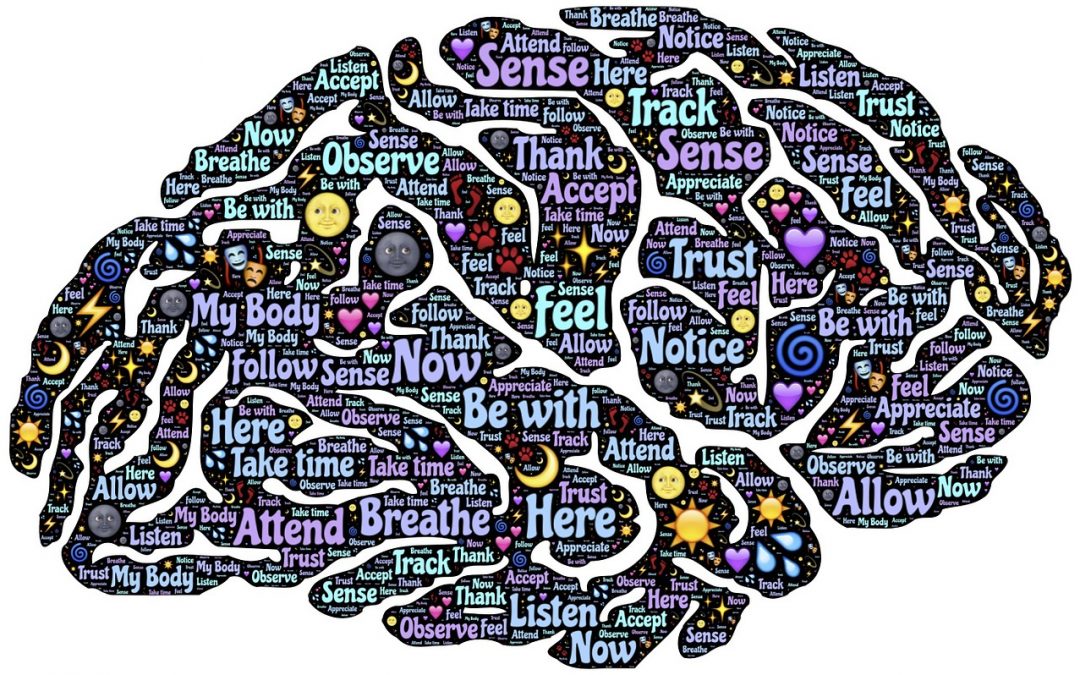 Is there a difference between hypnosis and meditation?